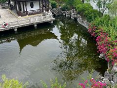 -九龙寨城公园