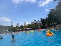 -重庆海昌加勒比海水世界
