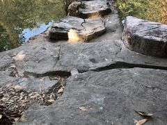 -云溪植物园