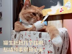 -小时光咖啡馆(开森度假森林店)