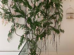 -左悦·艾灸调理·推拿按摩·精油SPA(卓悦汇店)