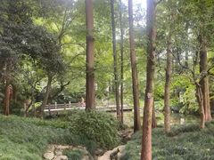 -杭州植物园
