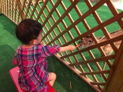 -萌宠亲子动物乐园(槐房万达店)