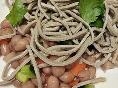 -蝎王府羊蝎子(西直门店)