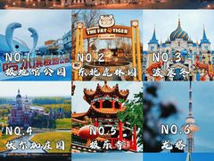 -龙塔