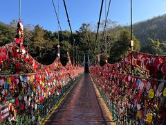 -西双版纳原始森林公园