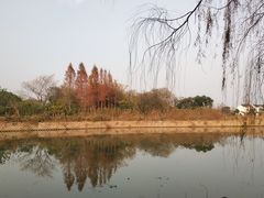 -梁鸿国家湿地公园
