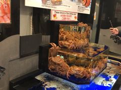 -蟹道乐(道顿堀本店)