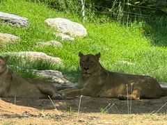-北京野生动物园