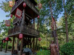 -合肥滨湖国家森林公园