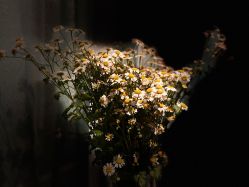 -琦品高端美容SPA私佳美场