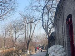 -春风习习