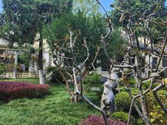 -南京中国近代史遗址博物馆(南京总统府)