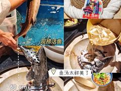 -云海肴云南菜·蒸汽石锅鱼(青岛万象城店)