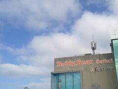 -济州岛泰迪熊博物馆