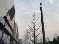 -ALPHA COFFEE阿尔法咖啡(虹莘路店)