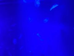 -福州罗源湾海洋世界旅游区