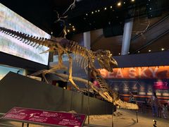 -贝林大翅鲸简餐厅(国家海洋博物馆店)