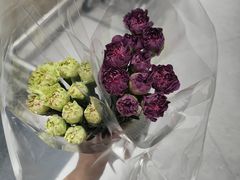 -鹿岛生活(熙地港店)