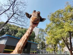 -荆州中山公园动物园