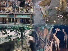 -长鹿旅游休博园