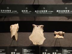 -四川博物院