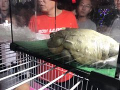 -华声天桥民俗文化园