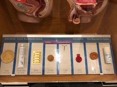 -香港科学馆