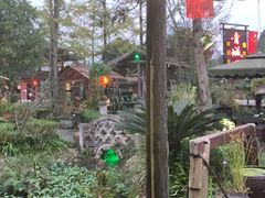 -青城甲(青城山店)