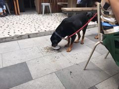 -RAC BAR(安福路店)