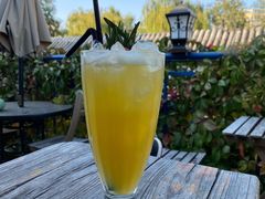 -Sirena海妖日咖夜酒