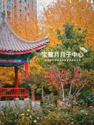 点击看大图 -宝馨月月子中心(友谊医院店)