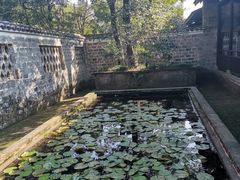 -八大山人梅湖景区