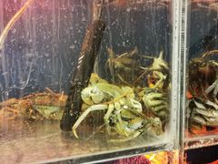 -臻鲜燕海鲜融合餐厅(金陵style店)