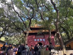 -普陀山风景名胜区-法雨禅寺