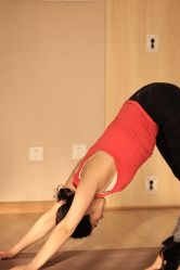 -酉嘉瑜伽YO+YOGA