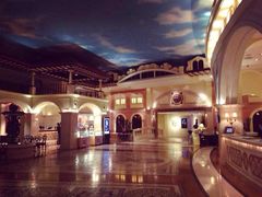 威尼斯酒店-深圳威尼斯英迪格酒店