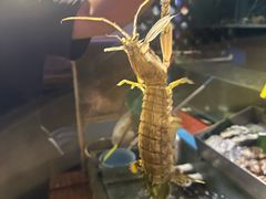 -辉记炭烧海鲜大排档·老字号(福田店)