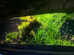 -上海海洋水族馆