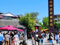 -茯茶镇