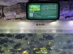 -泉城欧乐堡海洋极地世界