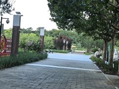 -大望京公园