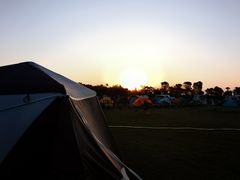 -春花秋色城市公园