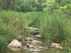 -碓臼峪自然风景区