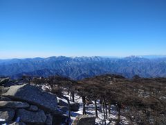-朱雀国家森林公园