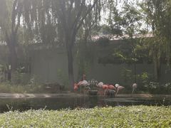 -石家庄市动物园