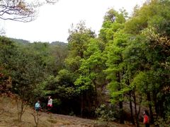 android_upload_pic-广州市石门国家森林公园
