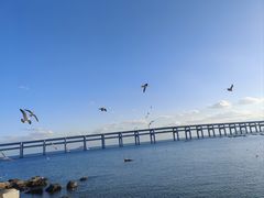 -黑石礁公园