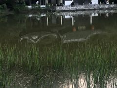-南山风景名胜区