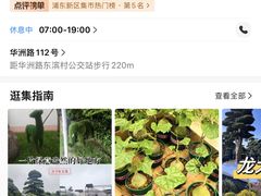 -龙大花卉苗木市场